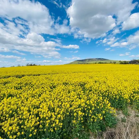 Cilensis Spa Vakantiehuis Sulistrowiczki