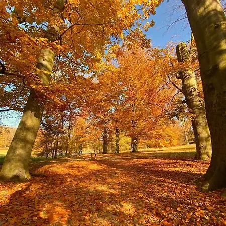 Cilensis Spa Sulistrowiczki