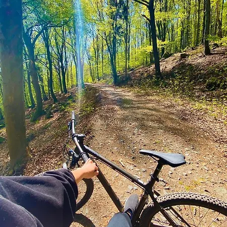 Cilensis Spa * Sulistrowiczki