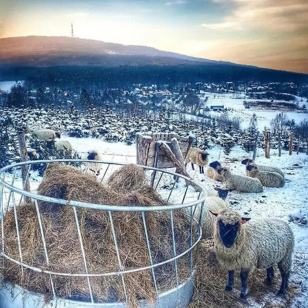 Cilensis Spa Vakantiehuis