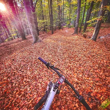 Cilensis Spa Sulistrowiczki