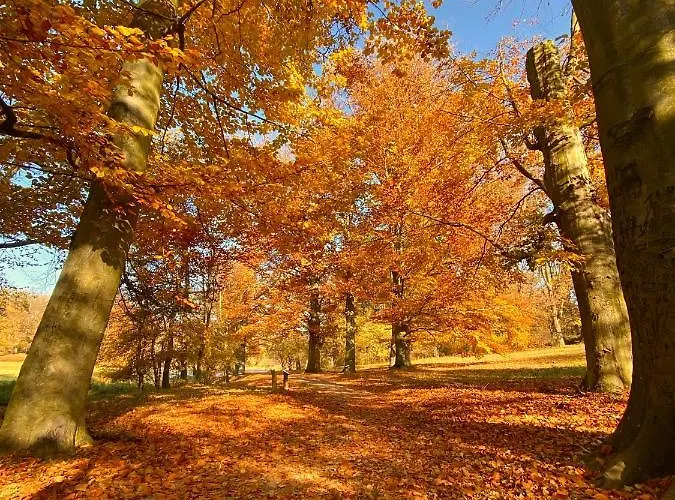 Cilensis Spa Sulistrowiczki