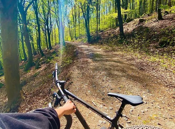 Cilensis Spa * Sulistrowiczki