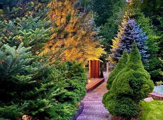 Cilensis Spa * Sulistrowiczki