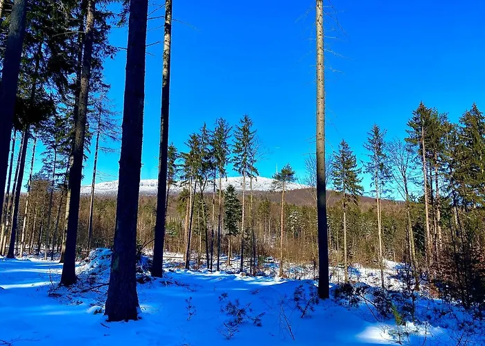 Cilensis Spa 別荘 Sulistrowiczki