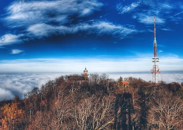 別荘 Cilensis Spa *