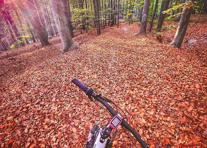 Cilensis Spa Sulistrowiczki